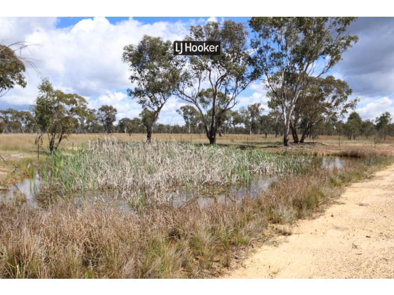 143711 Guyra Road, Tingha NSW 2369