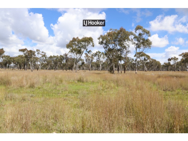 143711 Guyra Road, Tingha NSW 2369