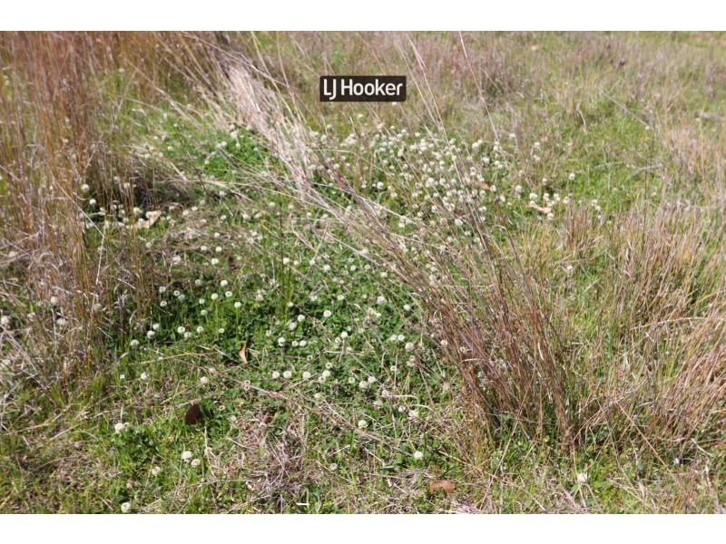 143711 Guyra Road, Tingha NSW 2369