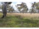 143711 Guyra Road, Tingha NSW 2369
