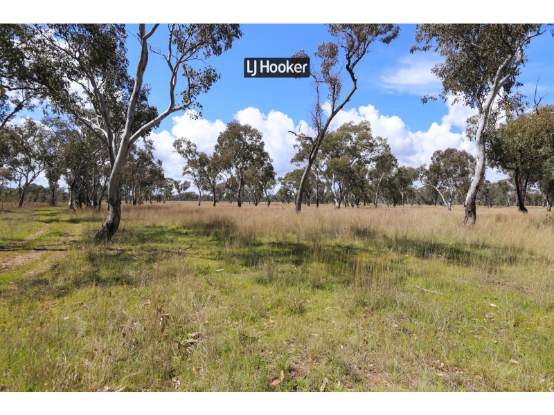 143711 Guyra Road, Tingha NSW 2369