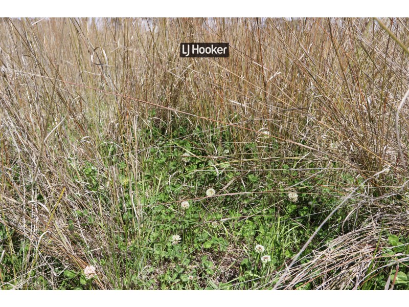 143711 Guyra Road, Tingha NSW 2369