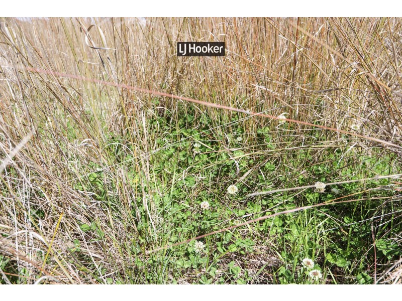 143711 Guyra Road, Tingha NSW 2369