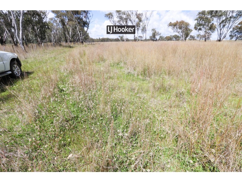 143711 Guyra Road, Tingha NSW 2369