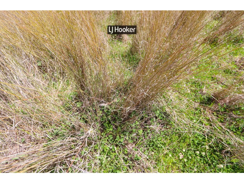 143711 Guyra Road, Tingha NSW 2369