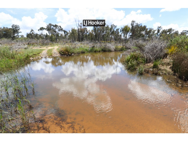 143711 Guyra Road, Tingha NSW 2369