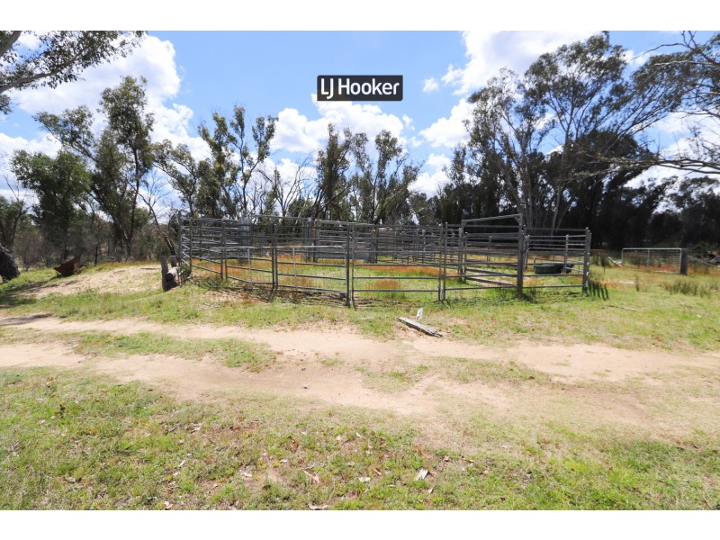 143711 Guyra Road, Tingha NSW 2369