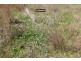 143711 Guyra Road, Inverell NSW 2360
