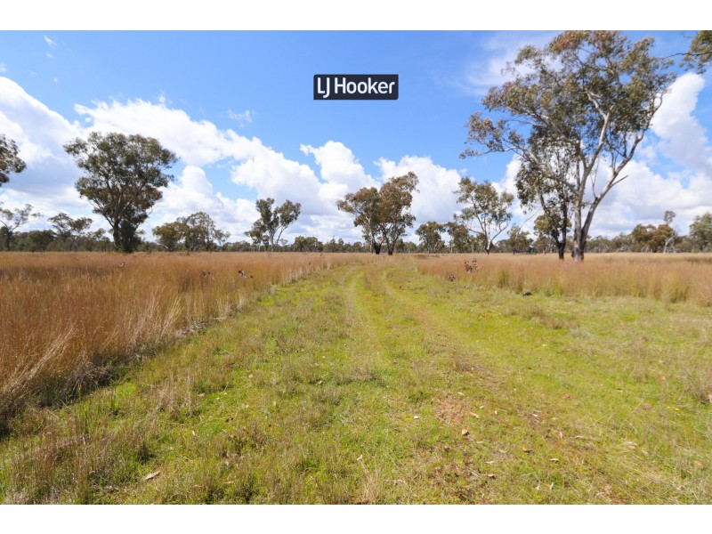 143711 Guyra Road, Inverell NSW 2360