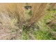 143711 Guyra Road, Inverell NSW 2360