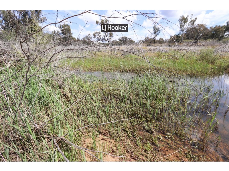 143711 Guyra Road, Inverell NSW 2360