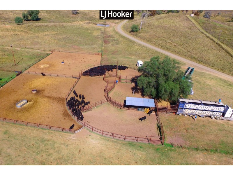 1281 Towarra Road, Keera NSW 2404