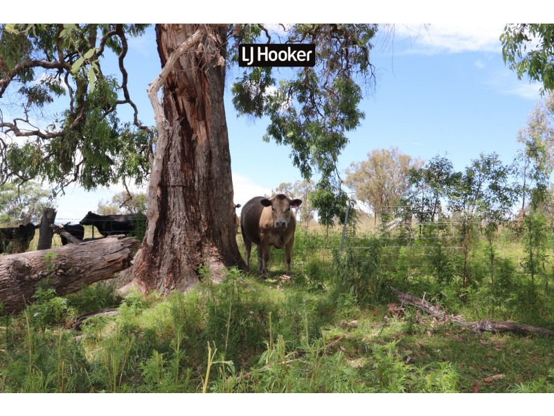 1697 Bingara Road, Bundarra NSW 2359