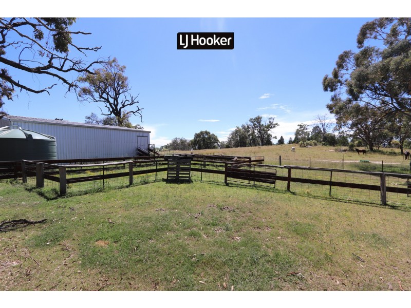 1697 Bingara Road, Bundarra NSW 2359