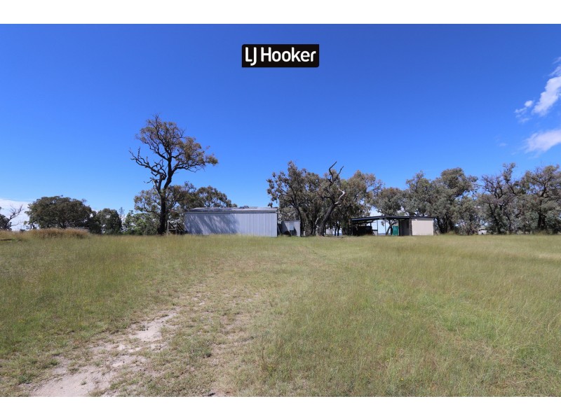 1697 Bingara Road, Bundarra NSW 2359