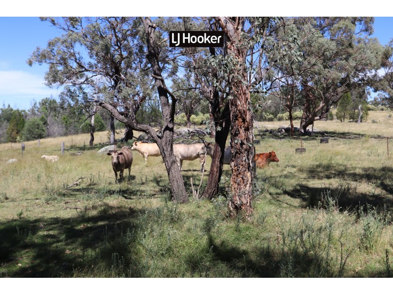 1697 Bingara Road, Bundarra NSW 2359