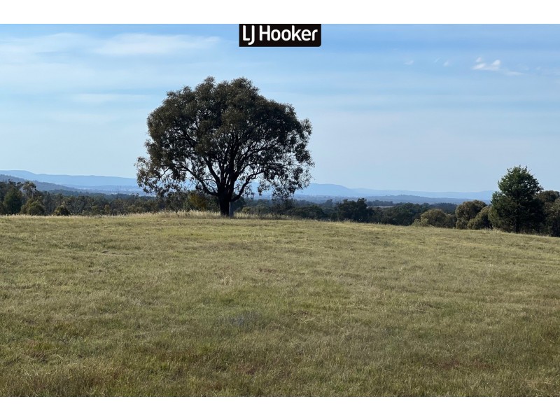 1887 Bingara Road, Bundarra NSW 2359