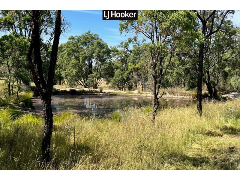 1887 Bingara Road, Bundarra NSW 2359