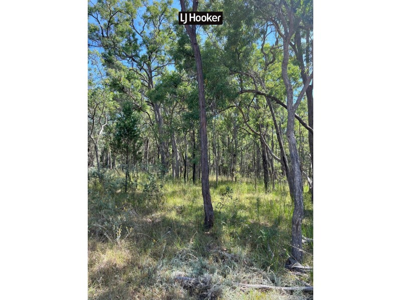 1887 Bingara Road, Bundarra NSW 2359