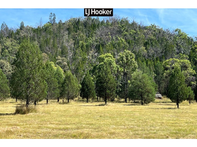 1887 Bingara Road, Bundarra NSW 2359