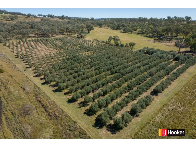 Lot 3/37 Palaroo Lane, Inverell NSW 2360