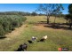 Lot 3/37 Palaroo Lane, Inverell NSW 2360