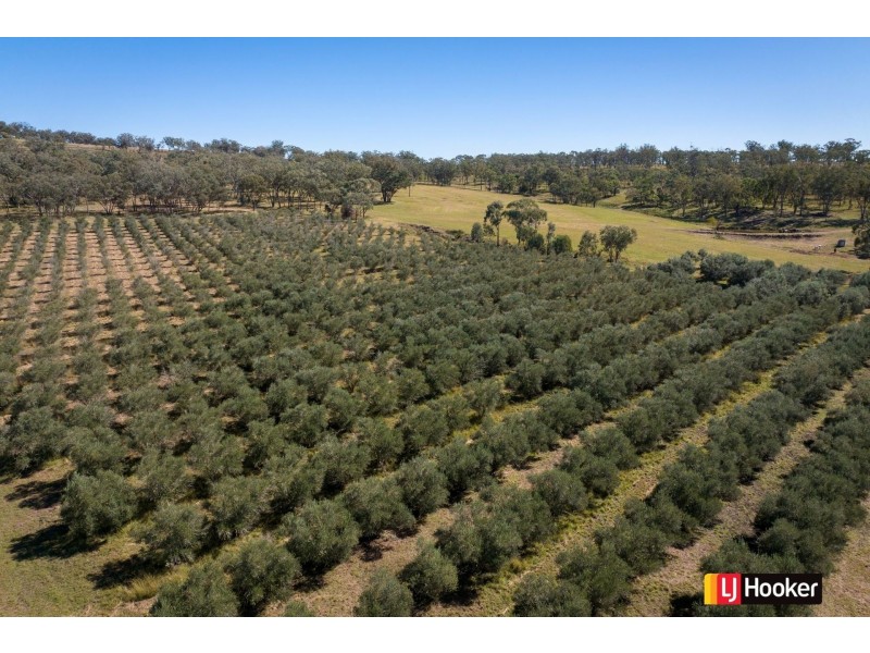 Lot 3/37 Palaroo Lane, Inverell NSW 2360