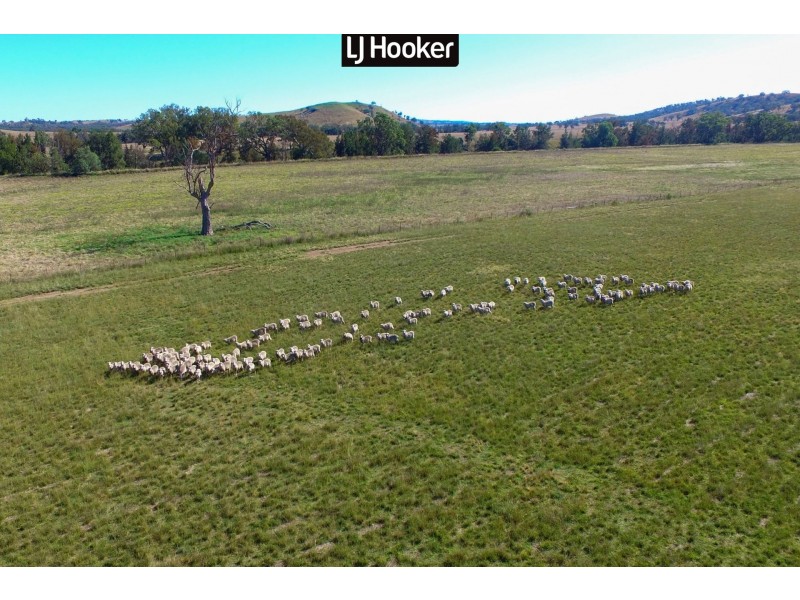 4514 Ashford Road, Inverell NSW 2360