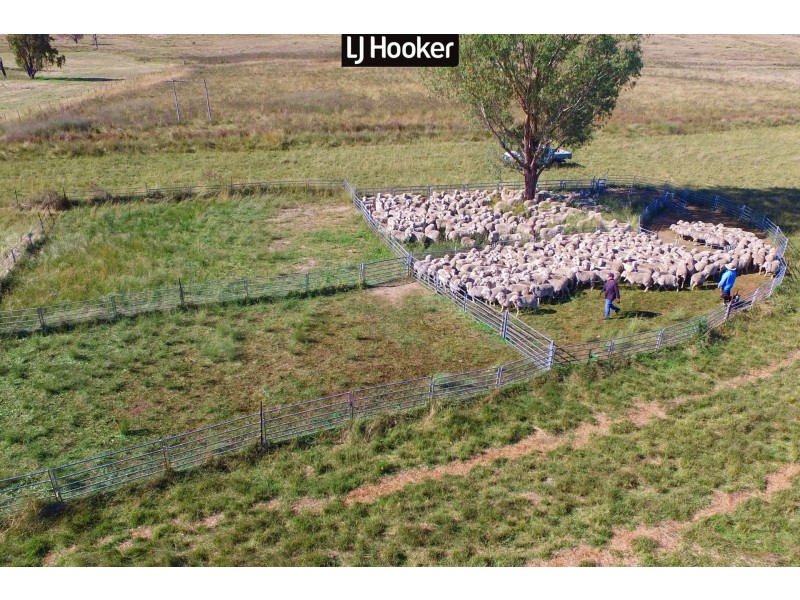 4514 Ashford Road, Inverell NSW 2360