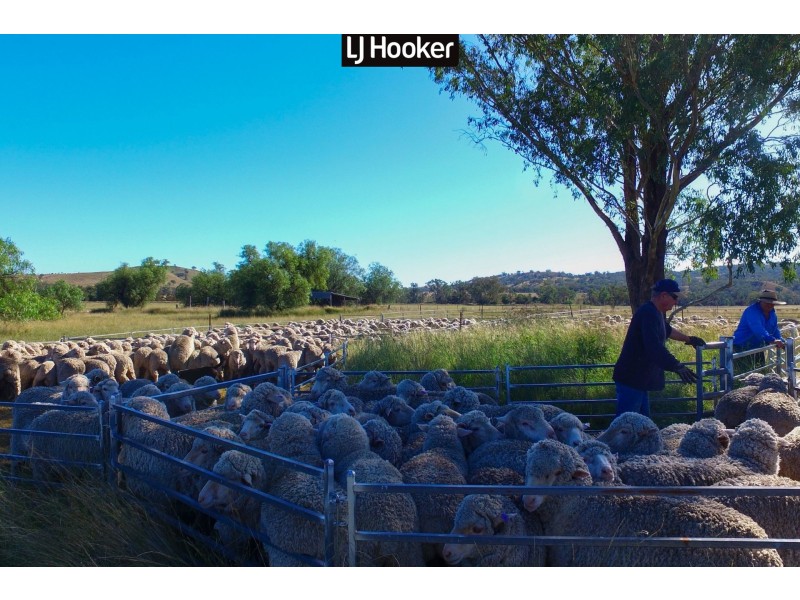 4514 Ashford Road, Inverell NSW 2360