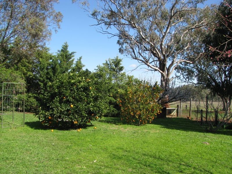 Inverell NSW 2360