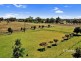 536 Old Bundarra Road, Inverell NSW 2360