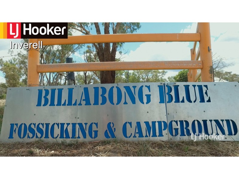 2479 Kings Plains Road, Inverell NSW 2360