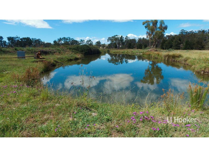2479 Kings Plains Road, Inverell NSW 2360