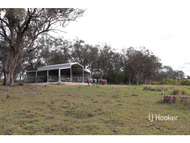 83 Ditzells Drive, Inverell NSW 2360