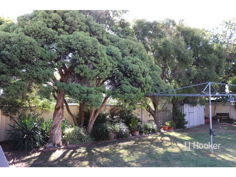 62 Queen Street, Warialda NSW 2402