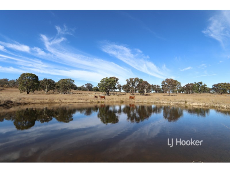 New Valley Road, Inverell NSW 2360