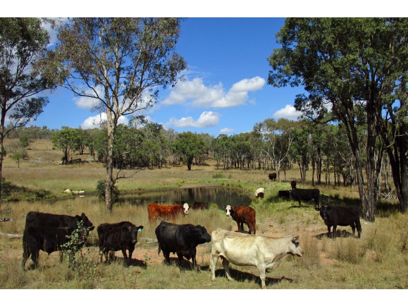 New Valley Road, Inverell NSW 2360