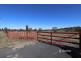 1253 Kings Plains Road, Swanbrook NSW 2360