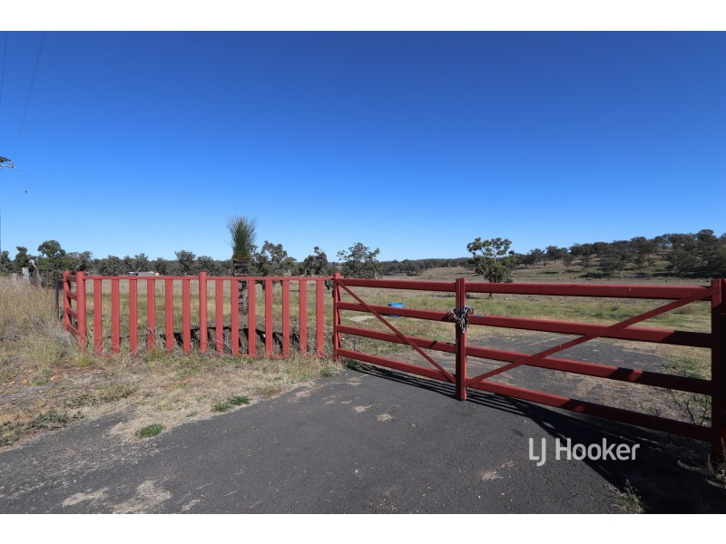 1253 Kings Plains Road, Swanbrook NSW 2360