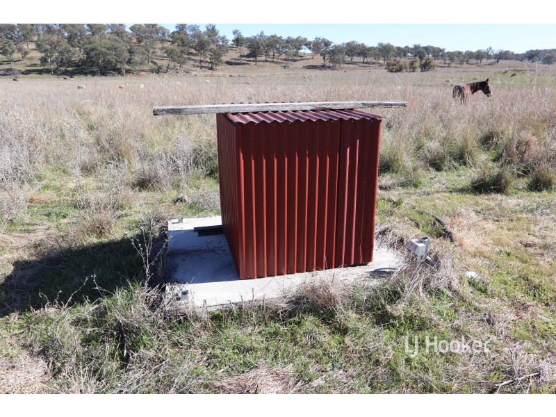 1253 Kings Plains Road, Swanbrook NSW 2360