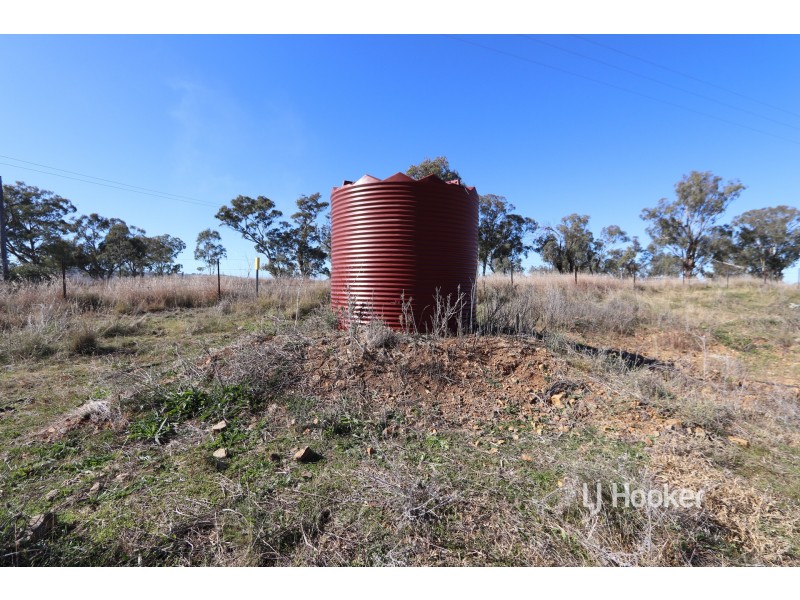 1253 Kings Plains Road, Swanbrook NSW 2360