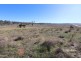 1253 Kings Plains Road, Swanbrook NSW 2360