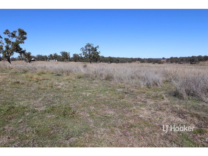 1253 Kings Plains Road, Swanbrook NSW 2360