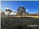 14381 Guyra Road, Inverell NSW 2360