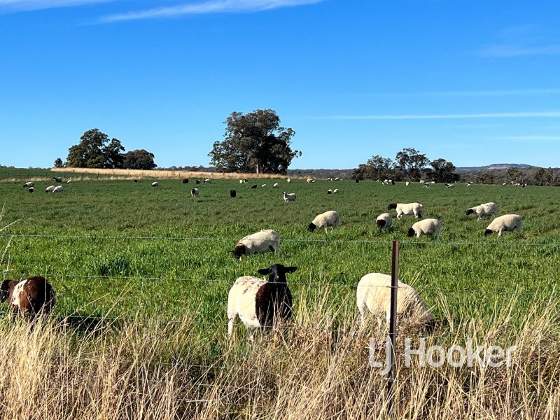 92 Petoria Park Road, Delungra NSW 2403