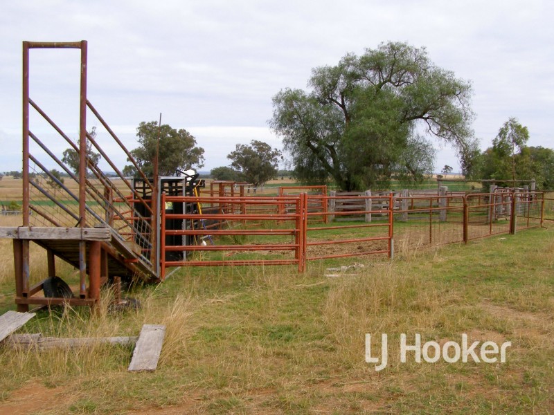 92 Petoria Park Road, Delungra NSW 2403
