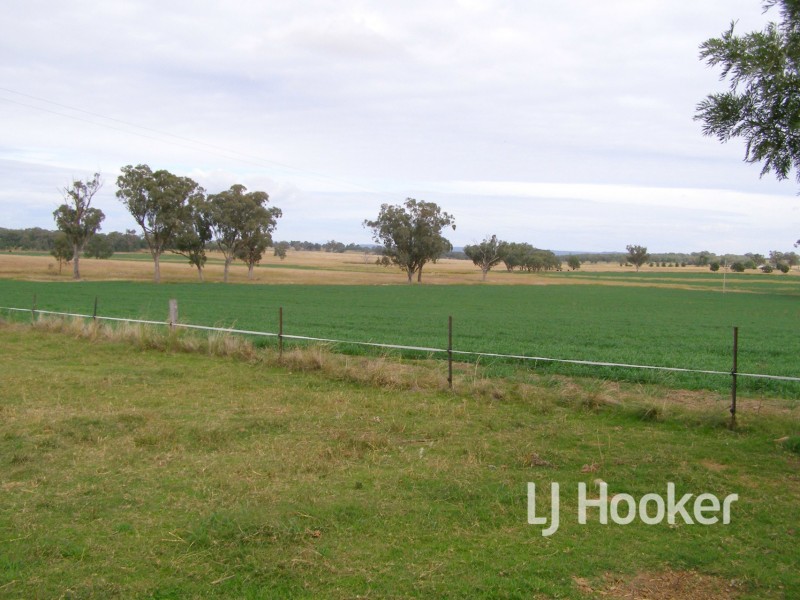 92 Petoria Park Road, Delungra NSW 2403