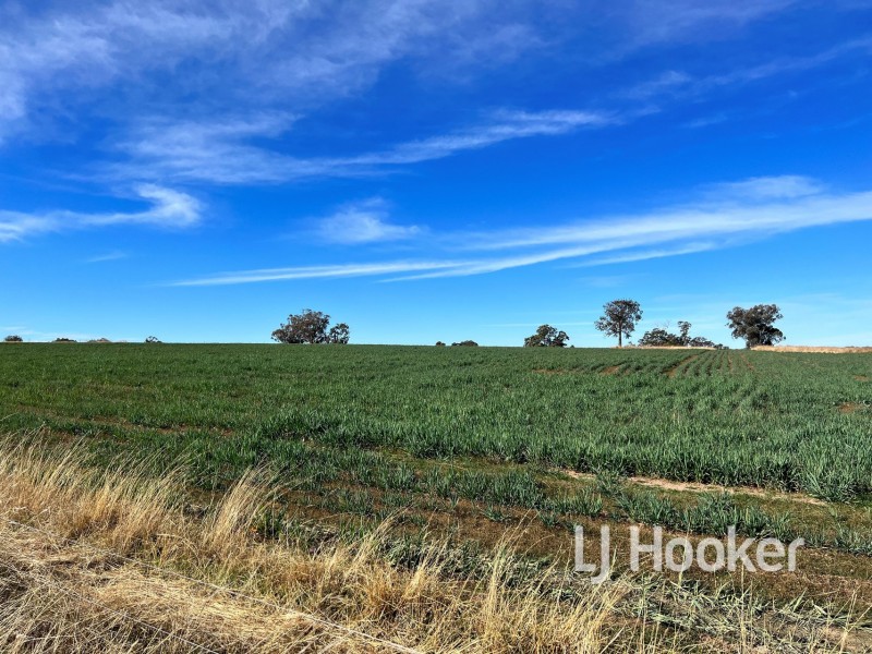 92 Petoria Park Road, Delungra NSW 2403