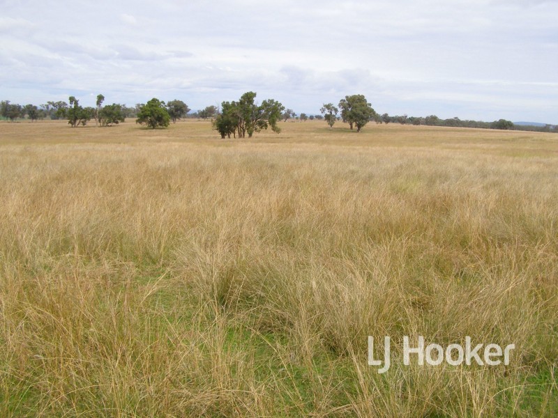 92 Petoria Park Road, Delungra NSW 2403